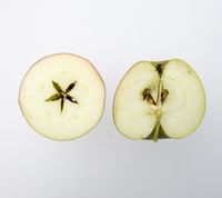 Sageby æble